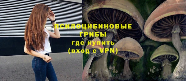 спиды Карталы