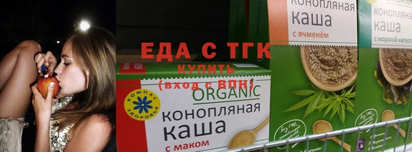 спиды Карталы