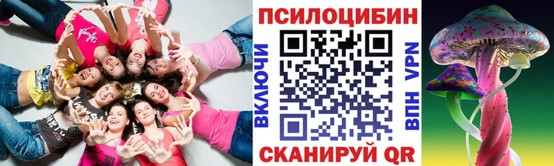 Купить закладки Волоколамск Псилоцибиновые грибы Magic Shrooms